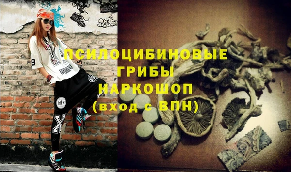 дурь Иннополис