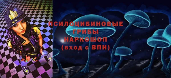 марки lsd Инсар
