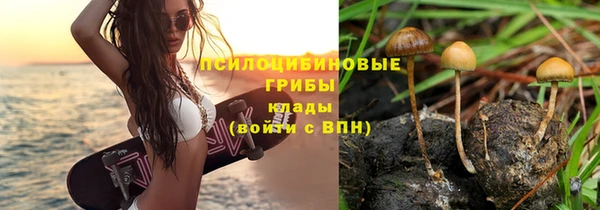дурь Иннополис