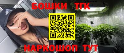 молекула духа Кингисепп
