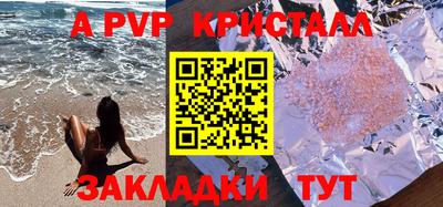 молекула духа Кингисепп