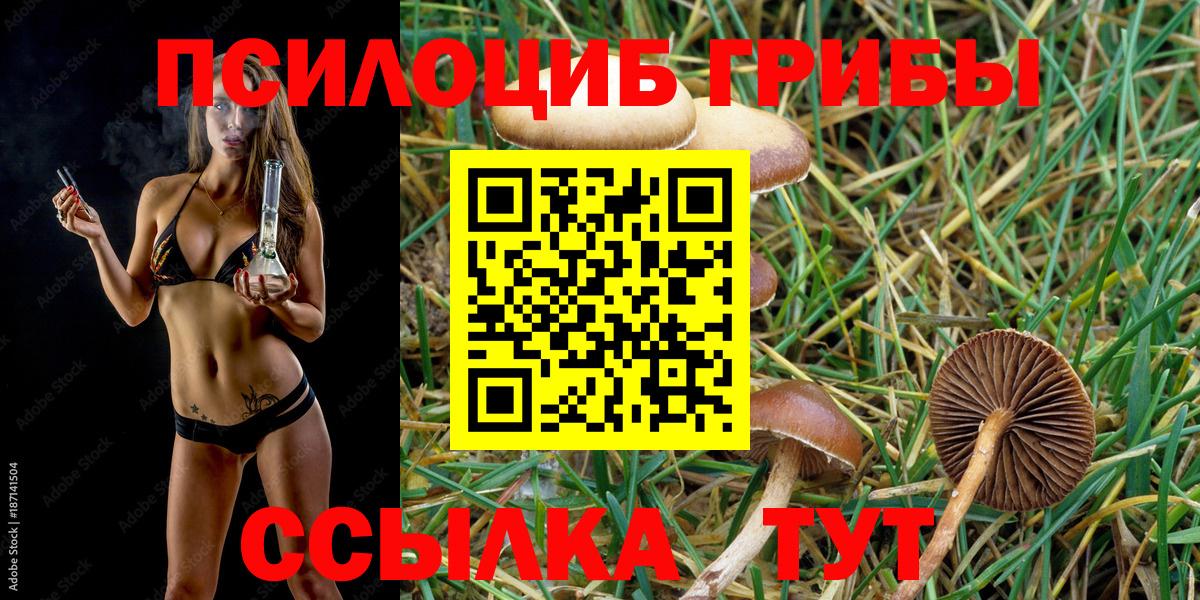 Кузнецк  даркнет сайт  Вход с VPN  Псилоцибиновые грибы Magic Shrooms 