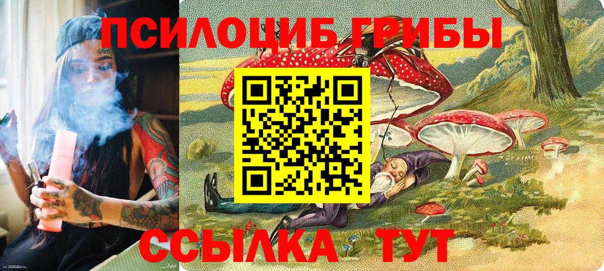 Галлюциногенные грибы мицелий Кузнецк
